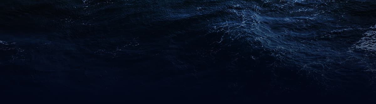 bg waves