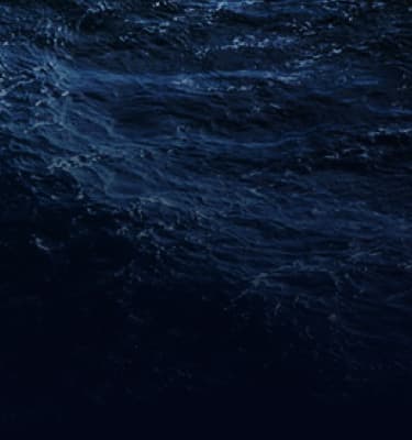 bg waves