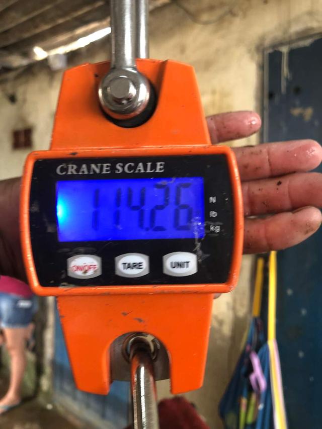 picture weight
