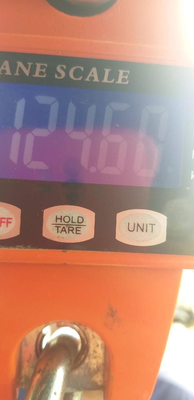 picture weight