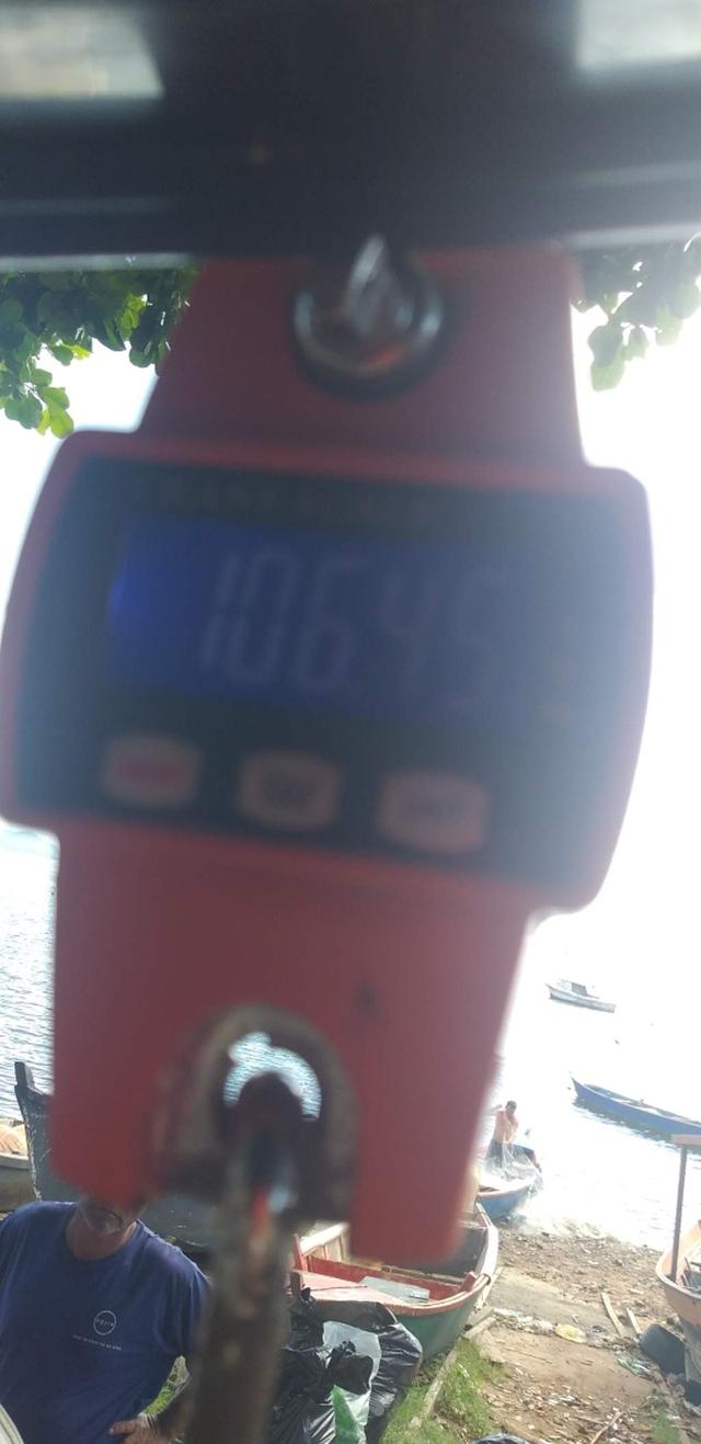 picture weight