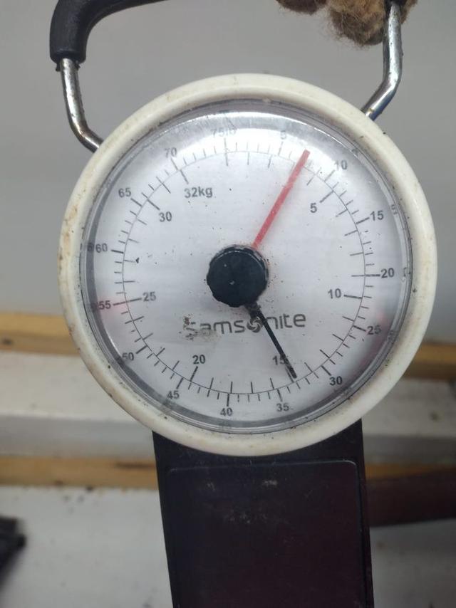 picture weight