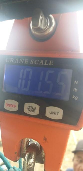 picture weight