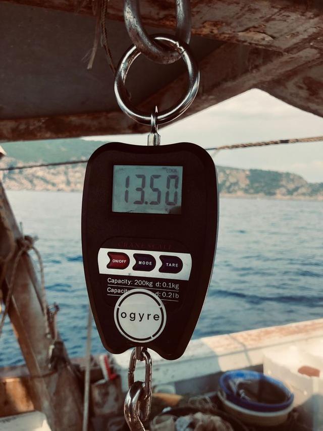 picture weight