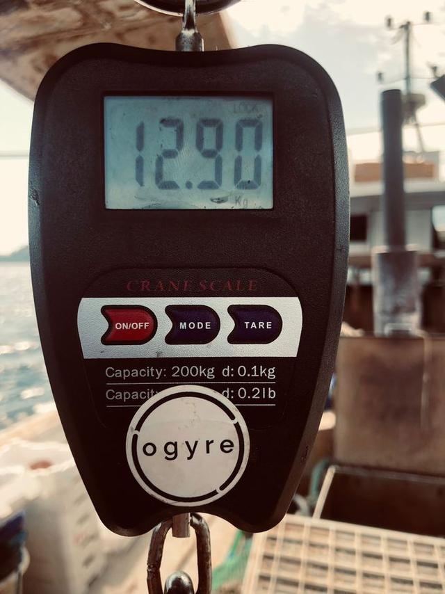 picture weight