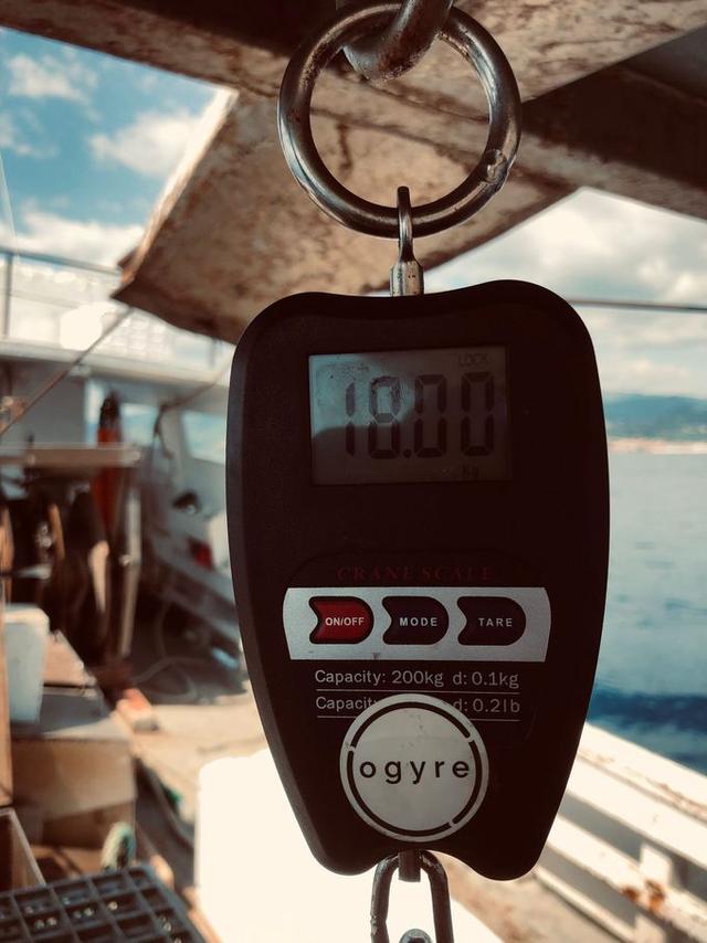 picture weight