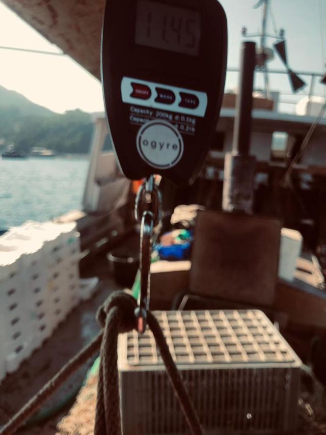 picture weight