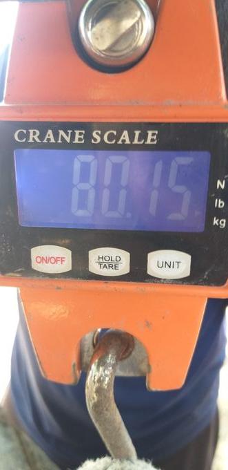 picture weight