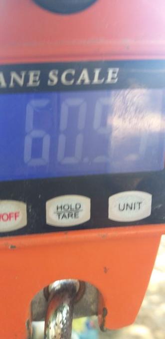picture weight