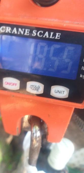 picture weight