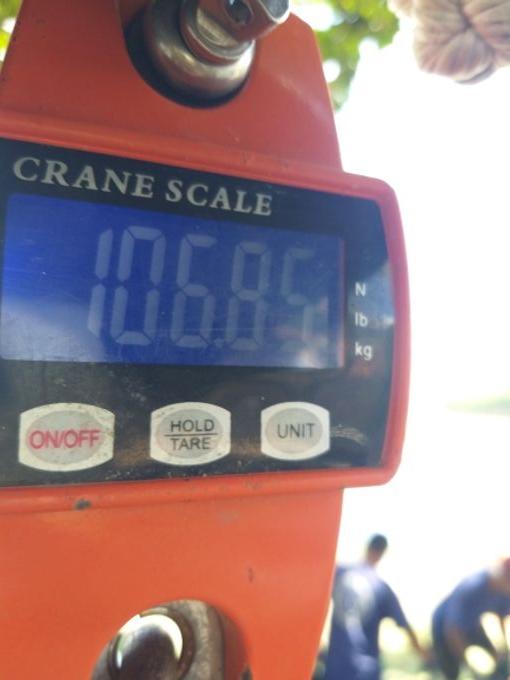 picture weight