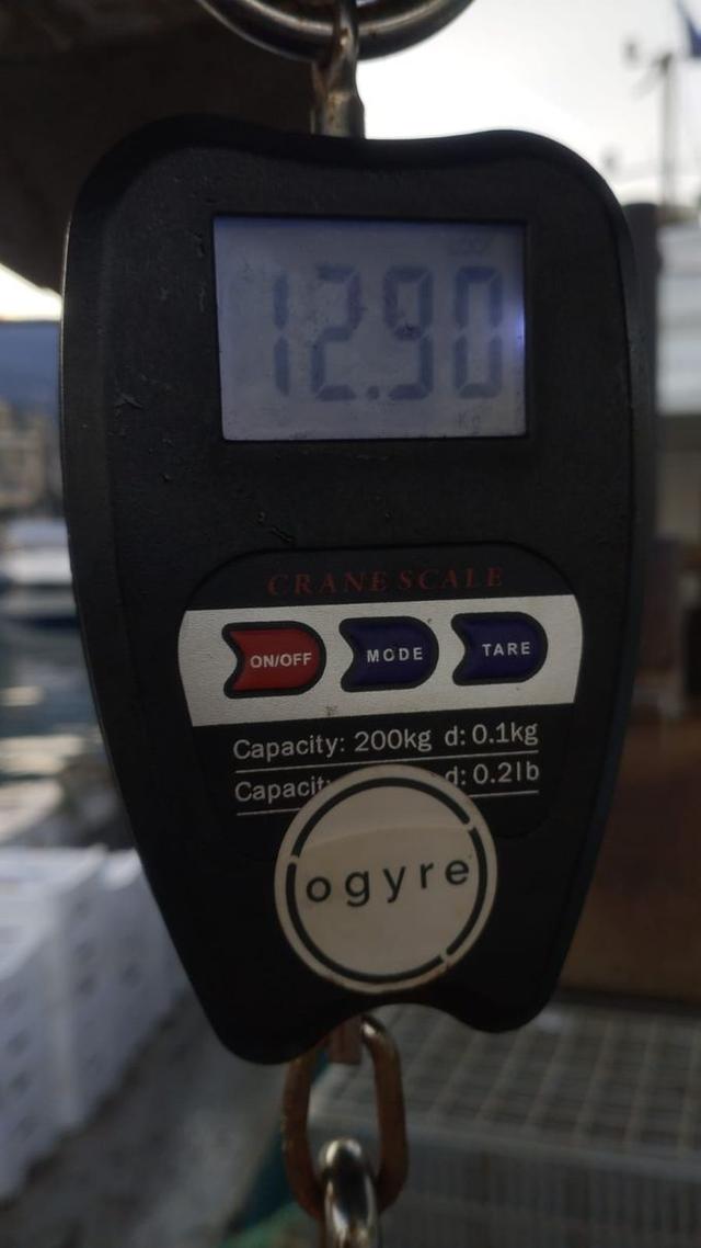 picture weight