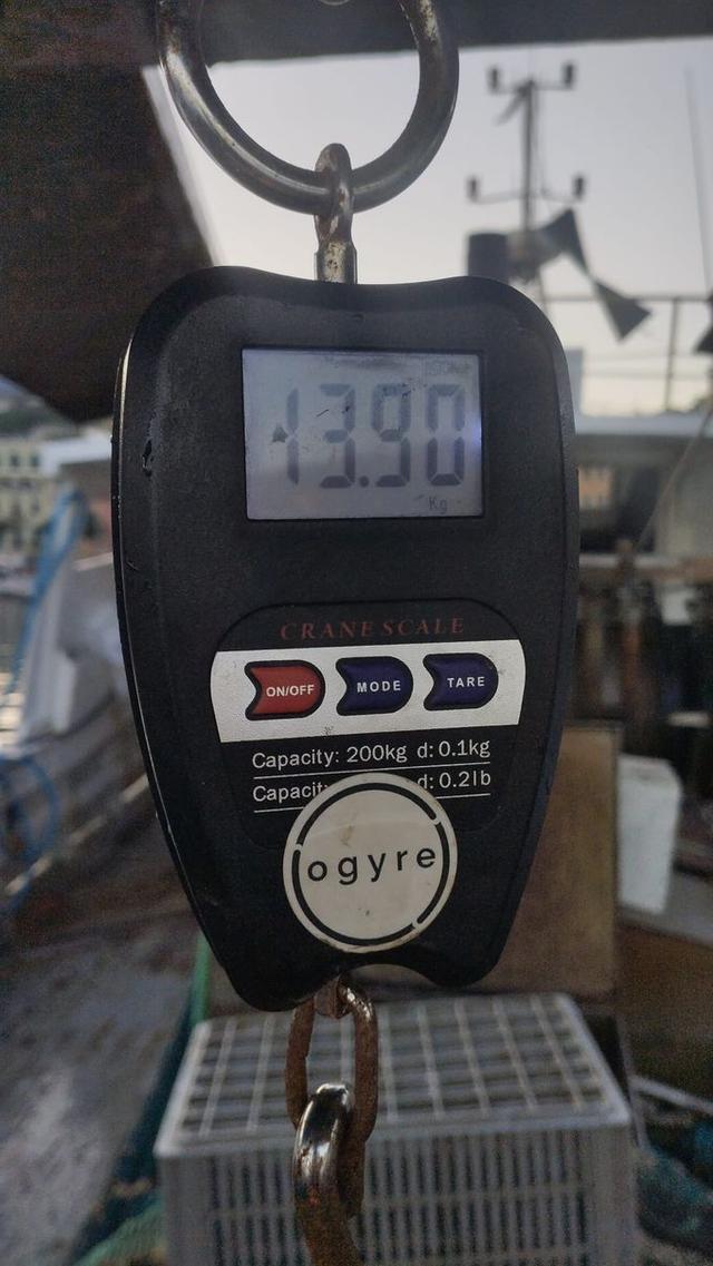 picture weight