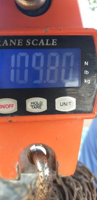 picture weight