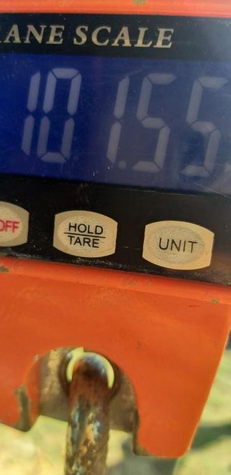 picture weight