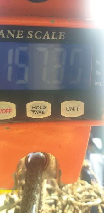 picture weight