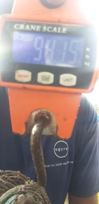 picture weight