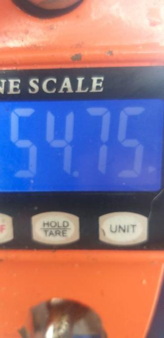 picture weight