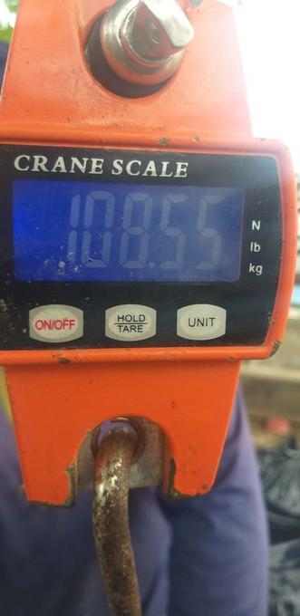 picture weight