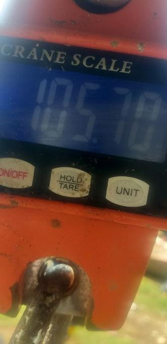 picture weight