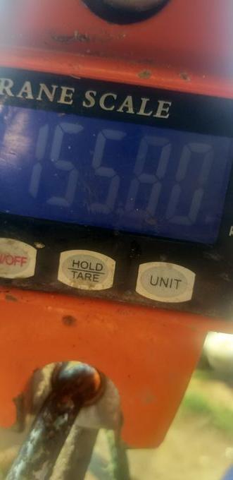 picture weight