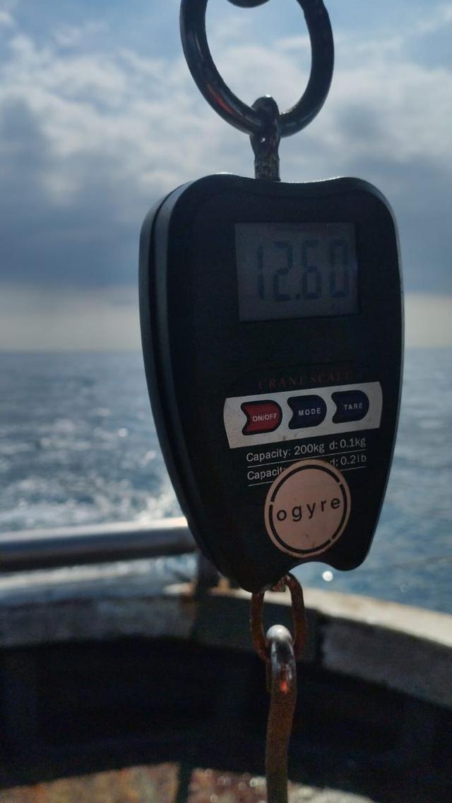picture weight