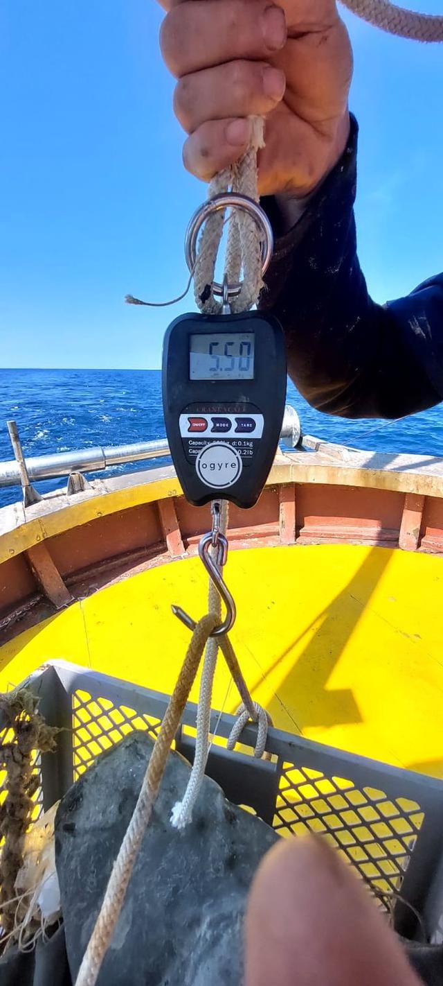 picture weight