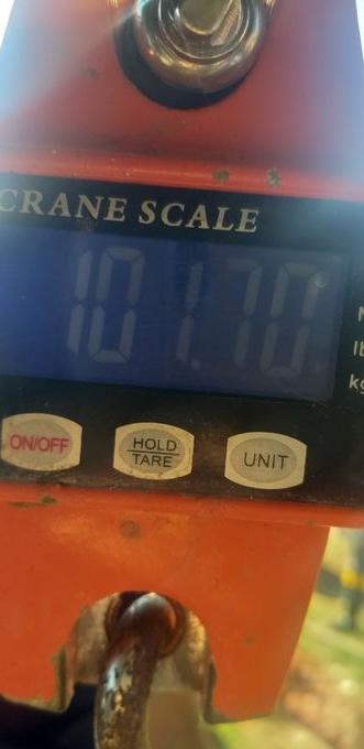 picture weight
