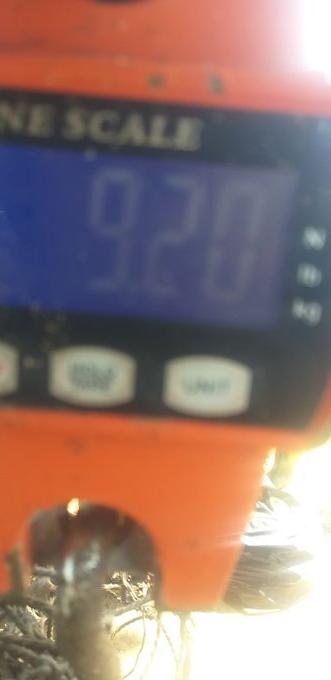picture weight