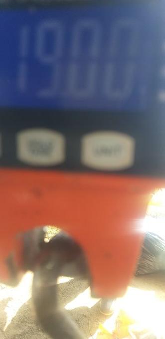 picture weight