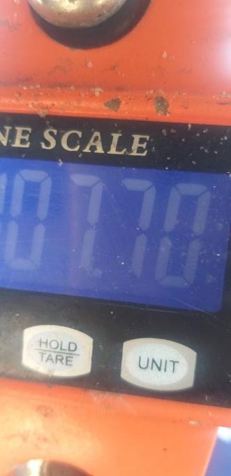 picture weight