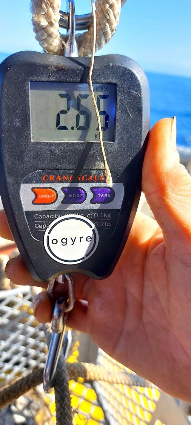 picture weight