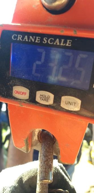 picture weight