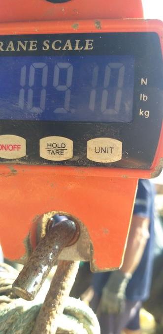 picture weight