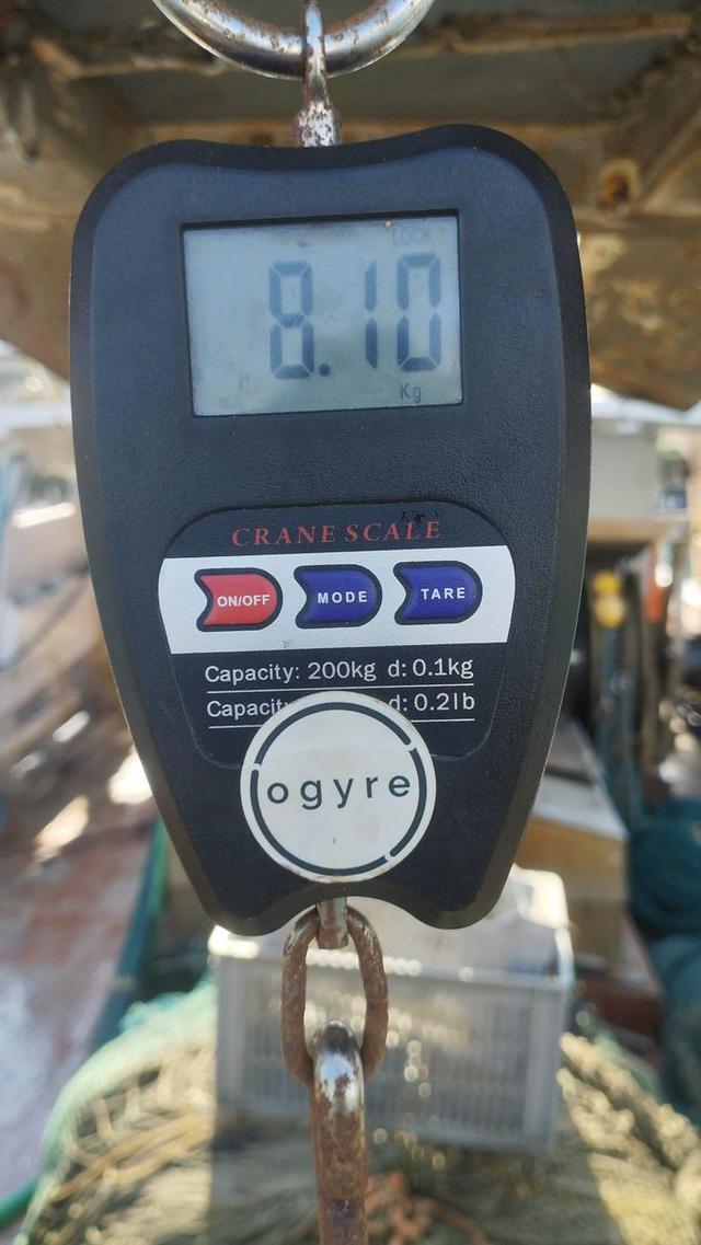 picture weight