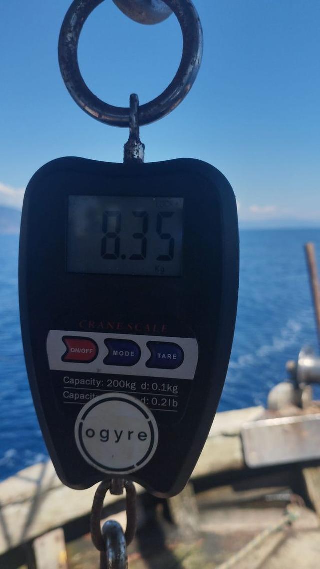 picture weight