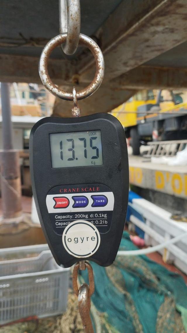 picture weight