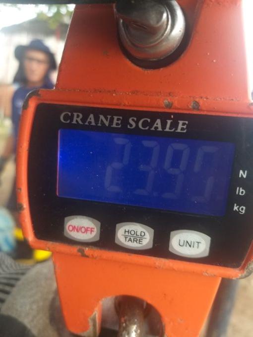 picture weight