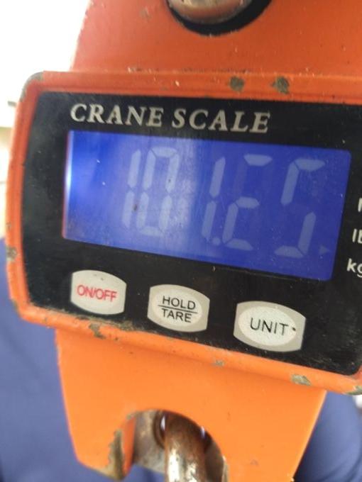 picture weight
