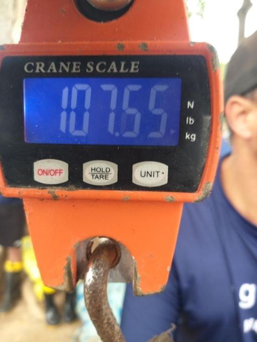 picture weight