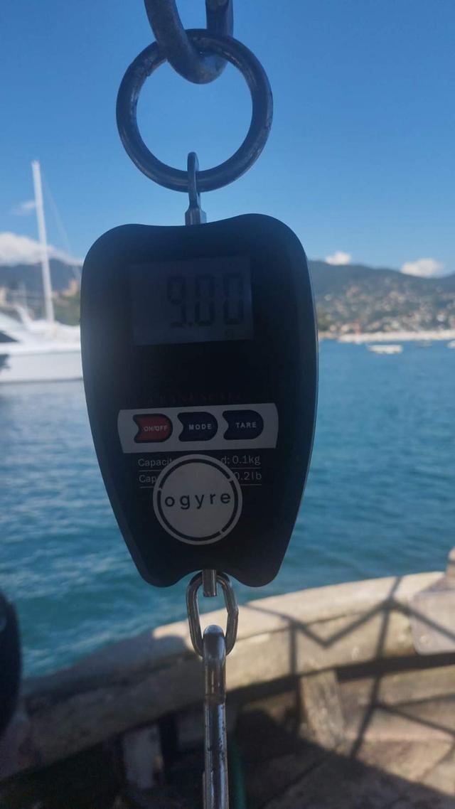 picture weight