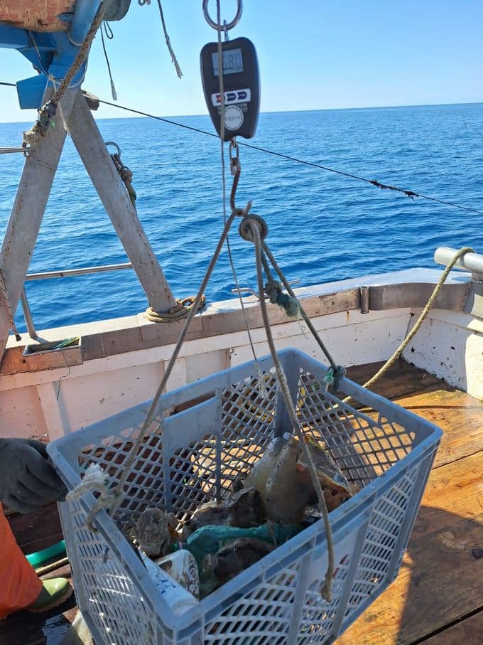 picture recollection