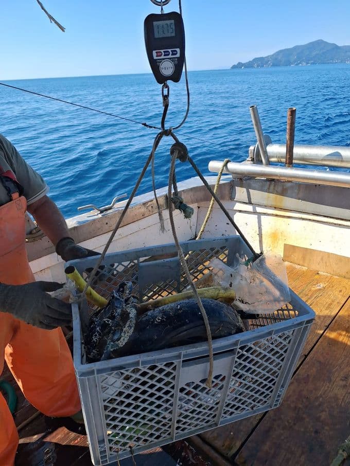 picture recollection