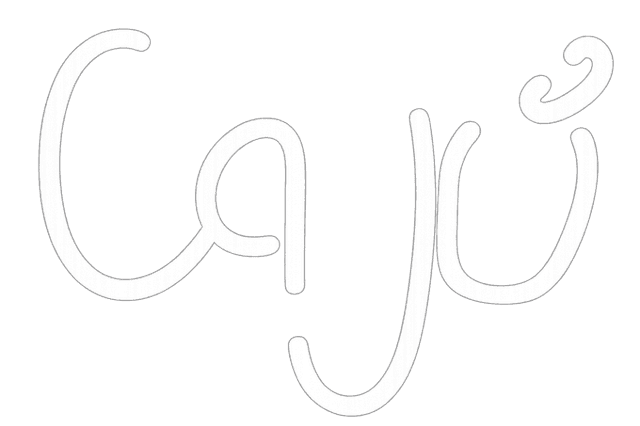 Logo Company